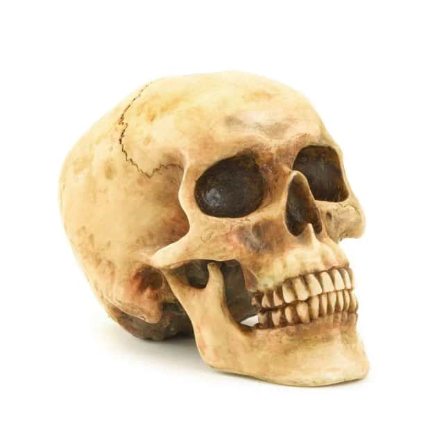 Original Skull